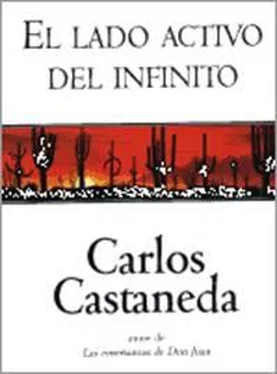 Carlos Castaneda El Lado Activo Del Infinito обложка книги