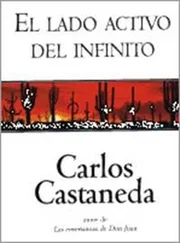 Carlos Castaneda - El Lado Activo Del Infinito