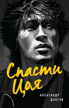 Александр Долгов Спасти Цоя [litres] обложка книги