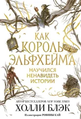 Холли Блэк - Как король Эльфхейма научился ненавидеть истории [litres с оптимизированными иллюстрациями]