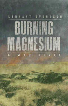 Lennart Svensson Burning Magnesium обложка книги