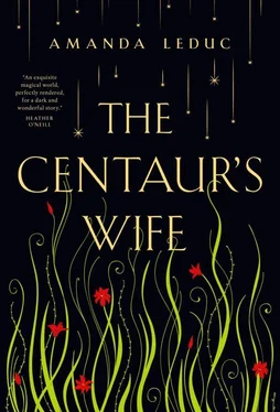 Amanda Leduc The Centaur's Wife обложка книги