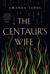 Amanda Leduc - The Centaur's Wife