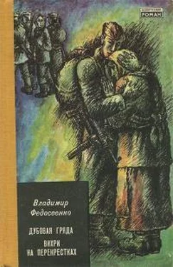 Владимир Федосеенко Вихри на перекрёстках обложка книги