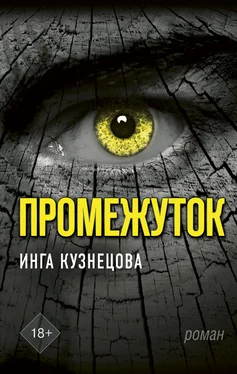 Инга Кузнецова Промежуток обложка книги