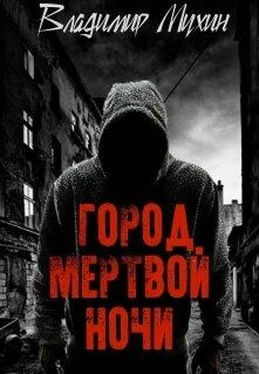 Владимир Мухин Город мертвой ночи [СИ] обложка книги