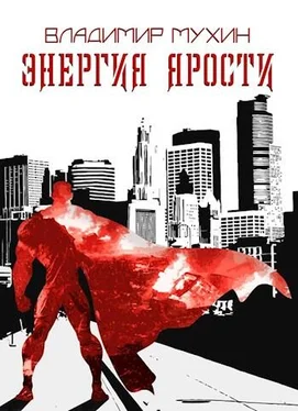 Владимир Мухин Энергия ярости [СИ] обложка книги