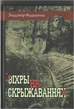 Владимир Федосеенко Віхры на скрыжаваннях обложка книги