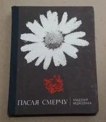 Владимир Федосеенко - Пасля смерчу