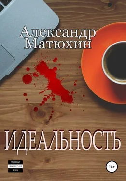 Александр Матюхин Идеальность обложка книги