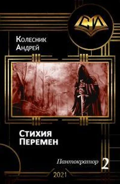 Андрей Колесник Стихия Перемен обложка книги