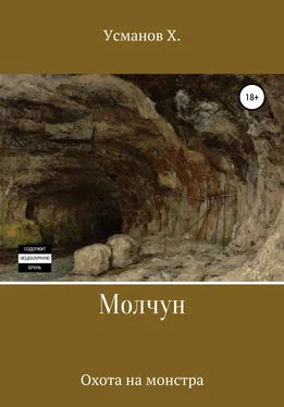 Хайдарали Усманов Охота на монстра [publisher: SelfPub] обложка книги