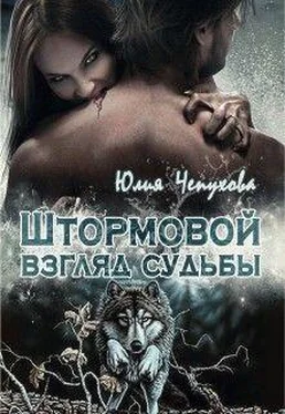 Юлия Чепухова Штормовой взгляд судьбы (СИ) обложка книги