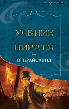 Вэнс Брайсленд Ученик пирата обложка книги