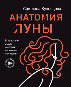 Светлана Кузнецова Анатомия Луны [litres] обложка книги