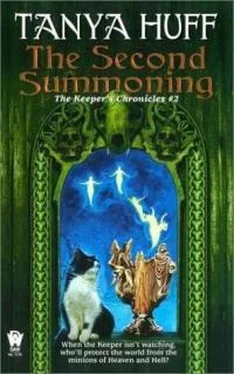 Таня Хафф The Second Summoning обложка книги