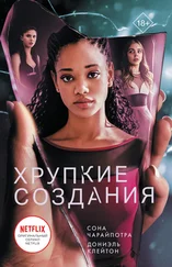 Дониэль Клейтон - Хрупкие создания