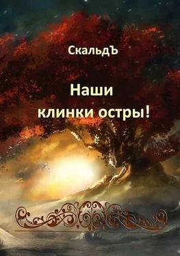 СкальдЪ Наши клинки остры! обложка книги