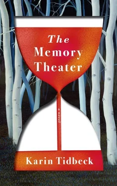 Карин Тидбек The Memory Theater обложка книги