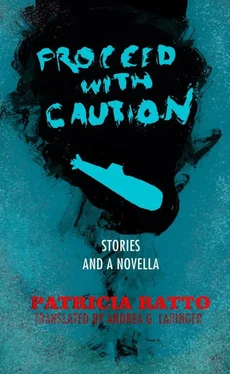 Patricia Ratto Proceed with Caution: Stories and a Novella обложка книги