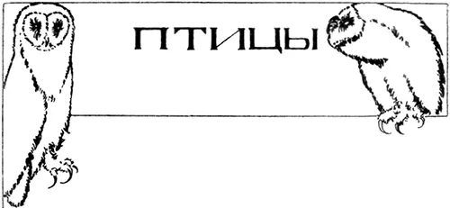 I Веретьеву ни в чем не везло После смерти матери зарабатывавшей переводами и - фото 16