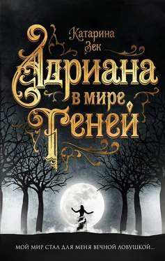 Катарина Зек Адриана в мире теней обложка книги