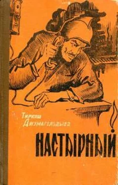 Тиркиш Джумагельдыев Настырный обложка книги