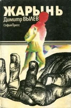 Димитр Вылев Жарынь обложка книги