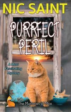 Ник Сайнт Purrfect Peril обложка книги