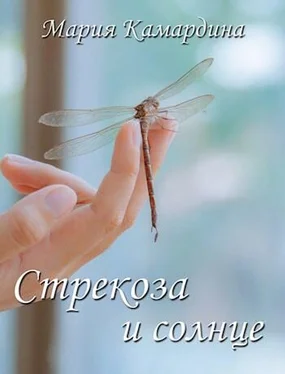 Мария Камардина Стрекоза и солнце [СИ] обложка книги