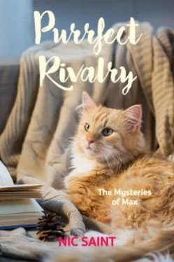 Ник Сайнт Purrfect Rivalry обложка книги