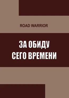 Максим Дынин За обиду сего времени обложка книги