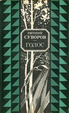 Евгений Суворов Голос [сборник] обложка книги