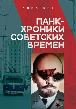 Анна Бру Панк-хроники советских времен обложка книги