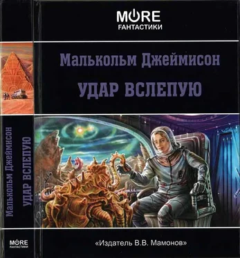 Малколм Джемисон Удар вслепую [сборник] обложка книги