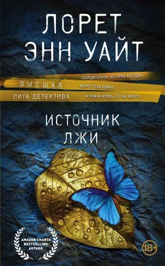 Лорет Уайт Источник лжи обложка книги