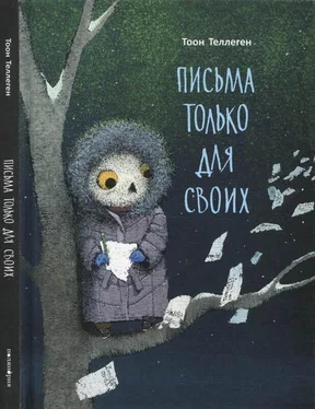 Тоон Теллеген Письма только для своих обложка книги