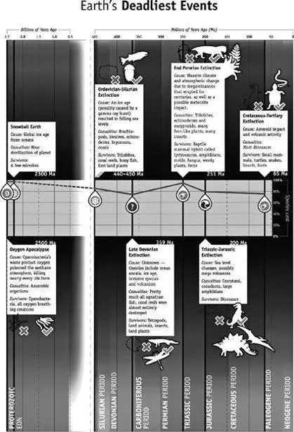 A timeline of mass extinctions including Snowball Earth illustration credit - фото 2