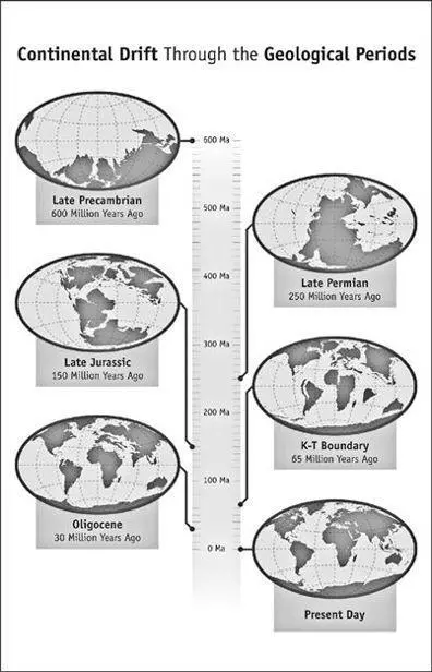 Maps of the continents during different geological eras illustration credit - фото 3