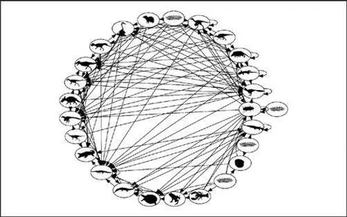 In this food web illustration created by Peter Roopnarine the arrows between - фото 6
