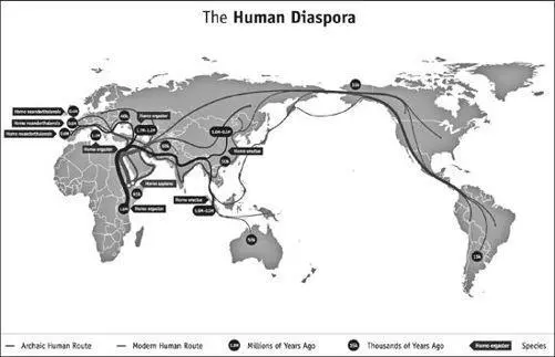 In this map you can see the different waves of human expansion out of Africa - фото 7