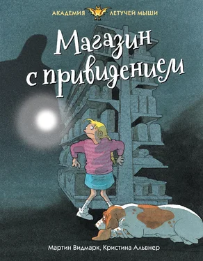 Мартин Видмарк Магазин с привидением [litres] обложка книги