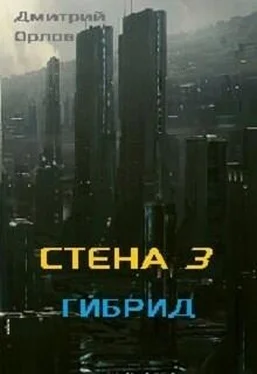 Дмитрий Орлов Стена 3. Гибрид (СИ) обложка книги