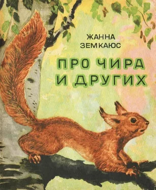 Жанна Земкаюс Про Чира и других [Рассказы] обложка книги