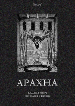 Коллектив авторов Арахна [Большая книга рассказов о пауках] обложка книги