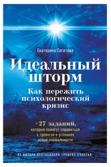 Екатерина Сигитова - Идеальный шторм. Как пережить психологический кризис