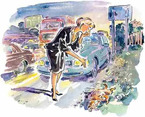 She decided to speed up and put some distance between herself and the vehicle - фото 5