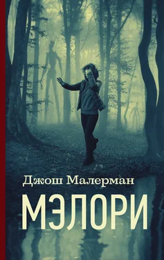 Джош Малерман Мэлори [litres] обложка книги