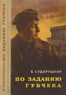 Борис Сударушкин По заданию губчека [Повесть] обложка книги