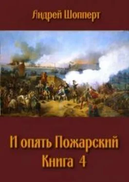 Андрей Шопперт И опять Пожарский 4 обложка книги